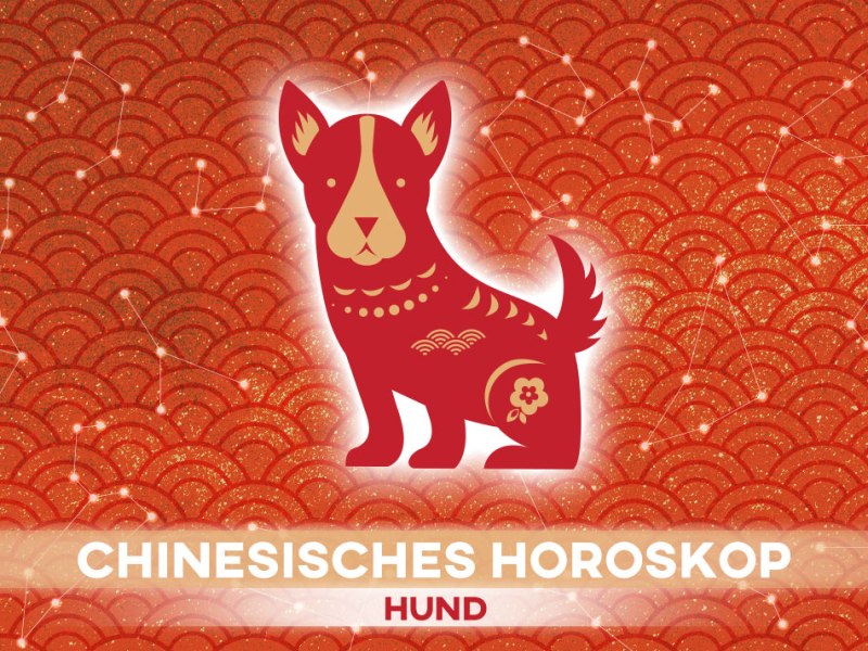 Chinesisches Horoskop für das Sternzeichen Hund vom 13. Juli 2025