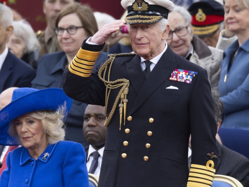 König Charles III. am VE-Day: Expertin sicher – DIESE Botschaft gilt Prinz Harry