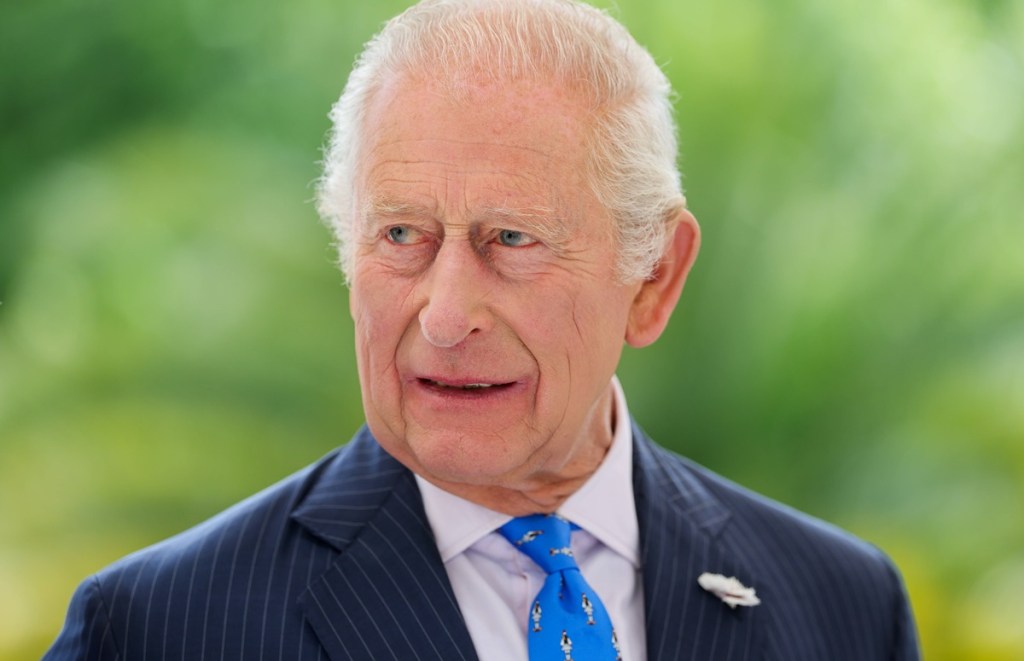 König Charles sorgt für bizarren Moment – es geschah in der Öffentlichkeit